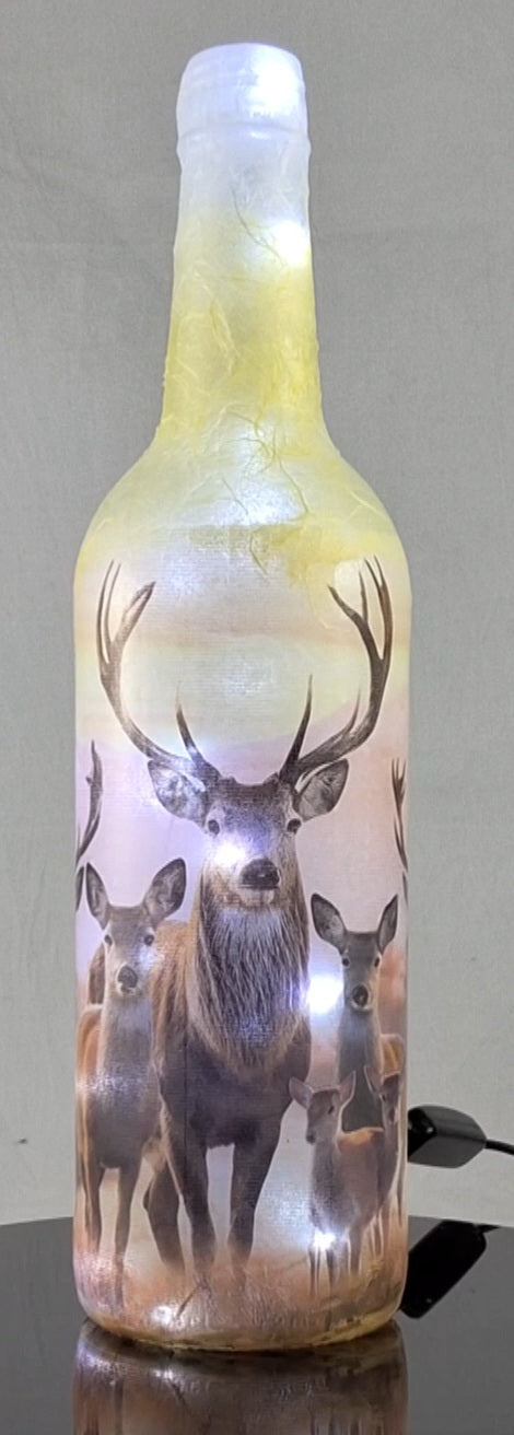 Animal_Stag_2024